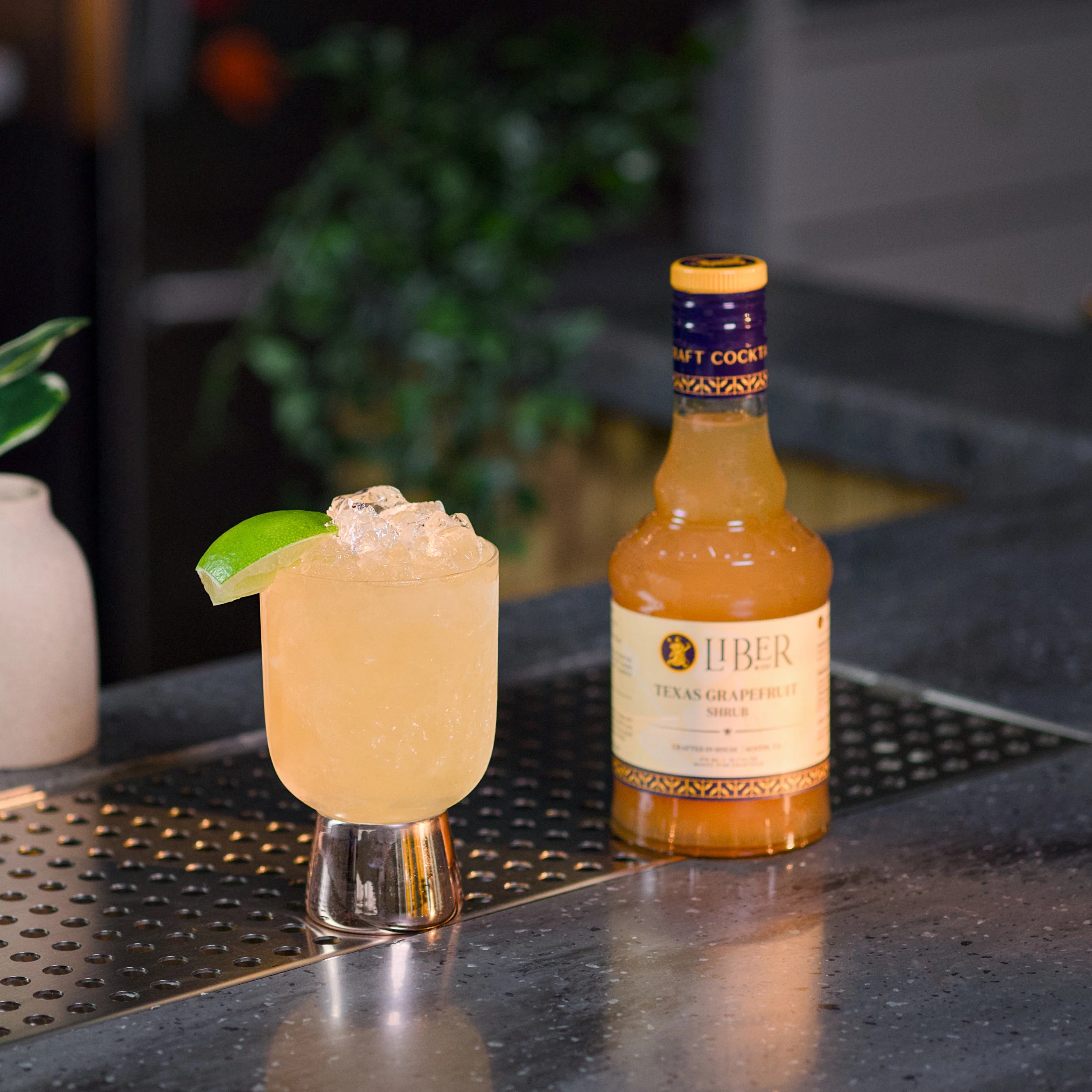 Texas Grapefruit Shrub - Image 3
